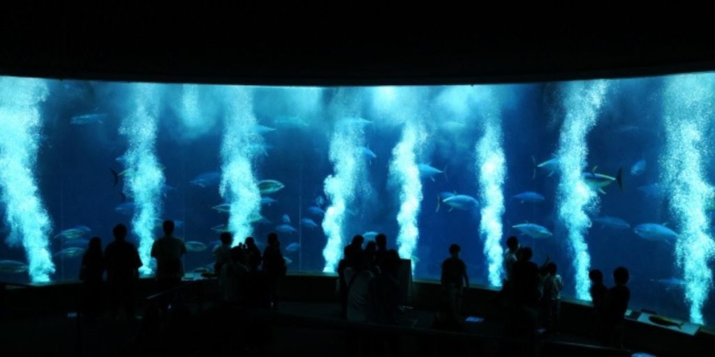 葛西臨海水族園大水槽